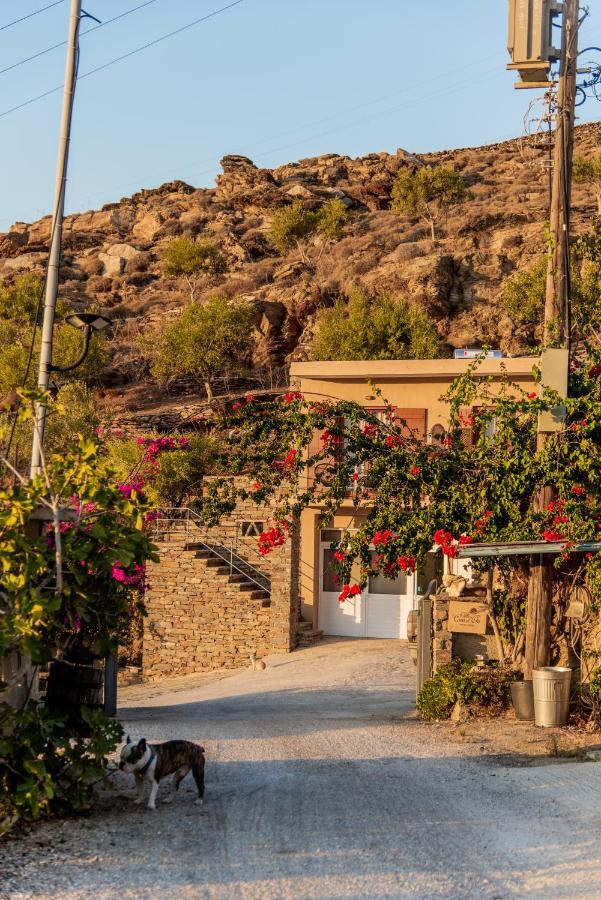 Villa Cavo D' Oro Koriszía Kültér fotó